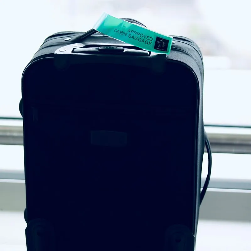 Travel Case after restoration